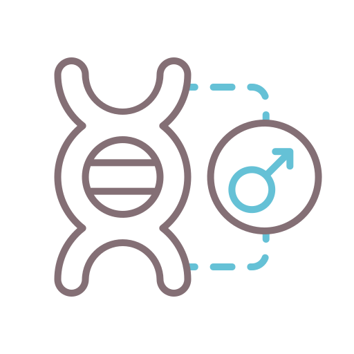 Ícone de hormônios